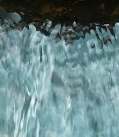 agua acciones
